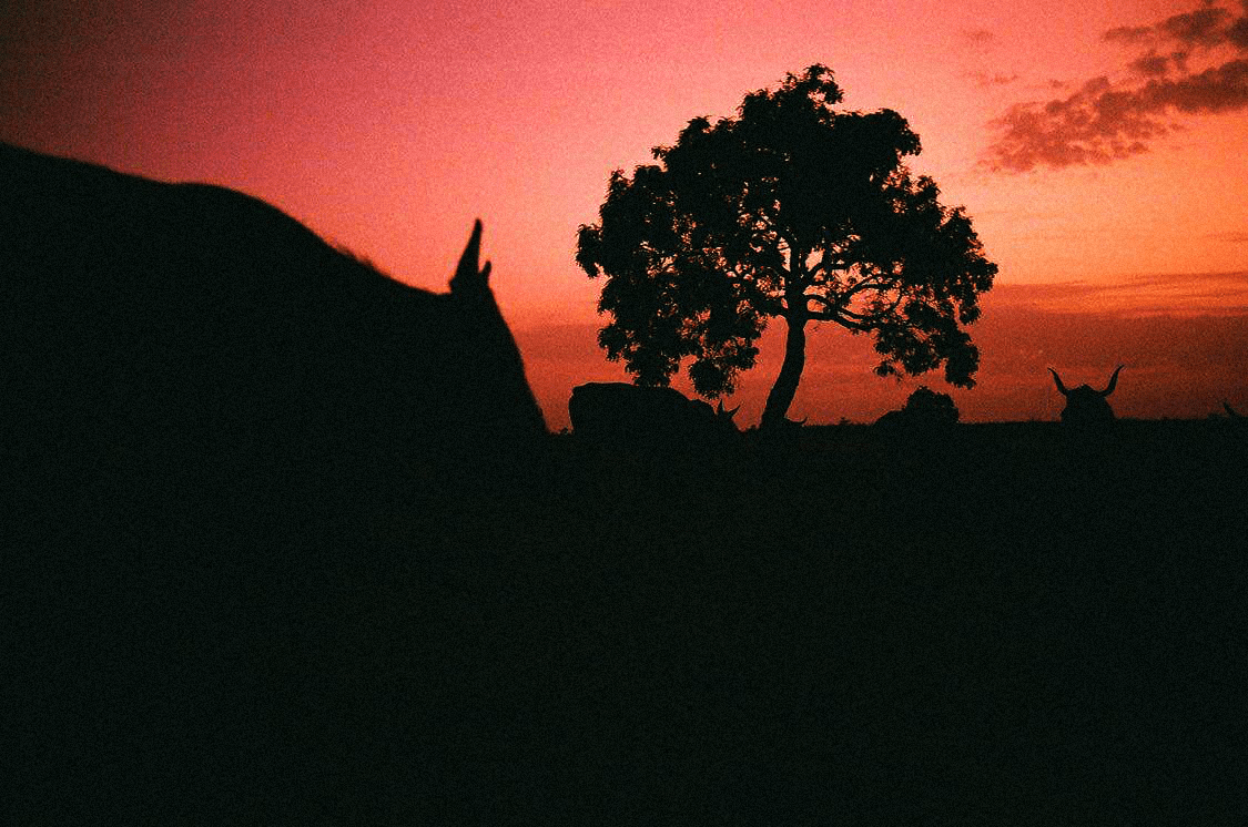 photo de couverture 2